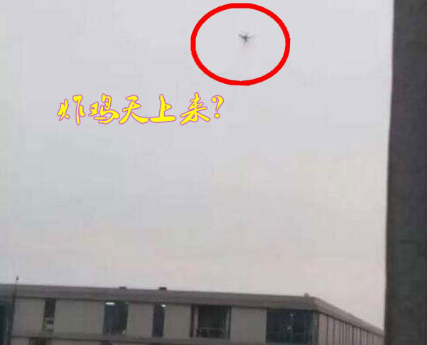 炸雞天上來，可知「炸機」危害性？