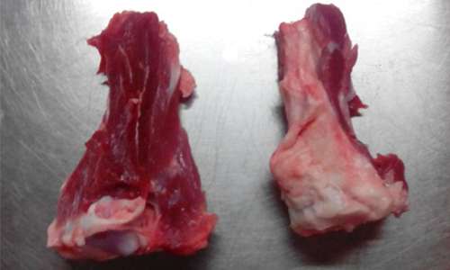 冷鮮肉